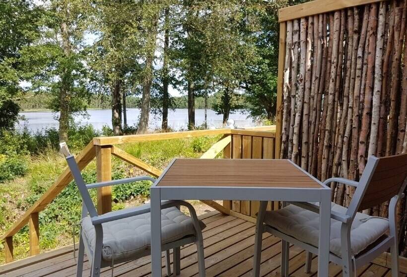 Студия Стандарт, Den Sovande älgen