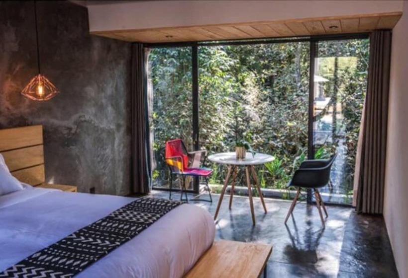 スイート, Casa Chichipicas Hotel Boutique