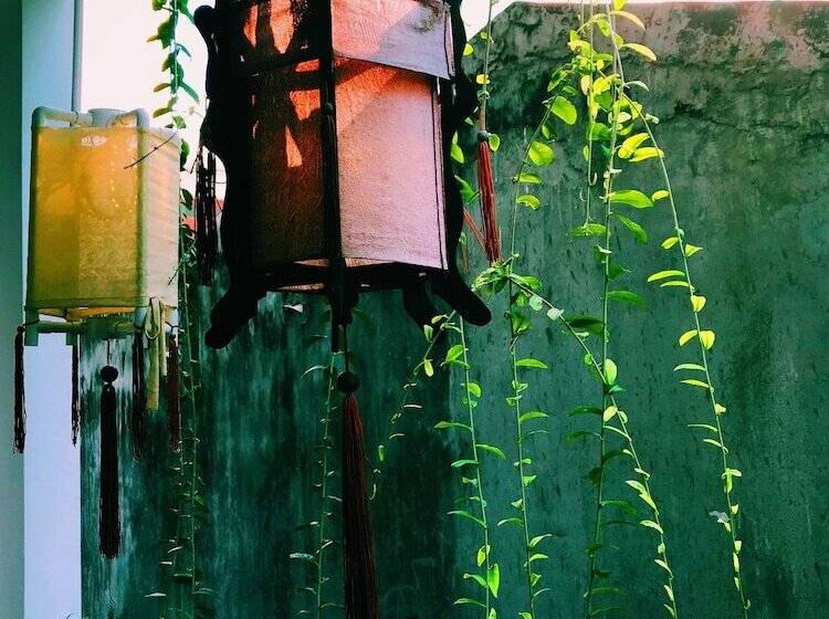 اتاق لوکس, Lighthouse Homestay Vũng Tàu