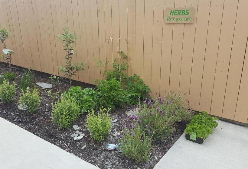 استودیوی استاندارد, Stopforths Motel