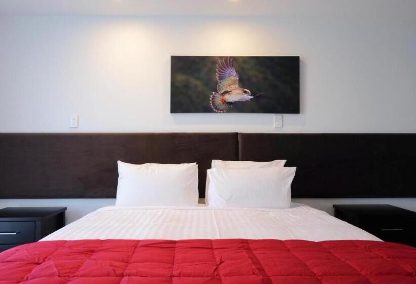 اتاق استاندارد با تخت بزرگ, Stopforths Motel