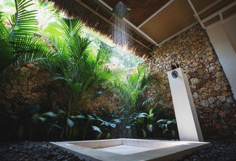 חדר דלוקס, Rascals Hotel Adults Only