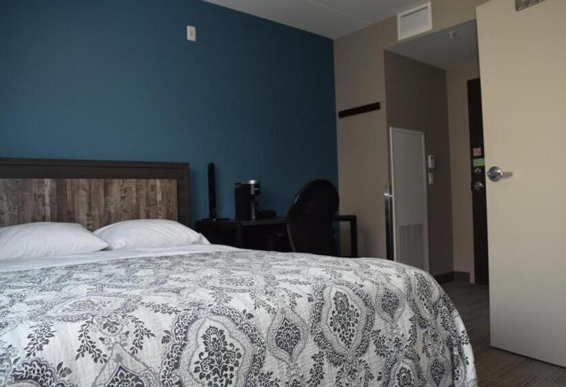 Standard Room, United College