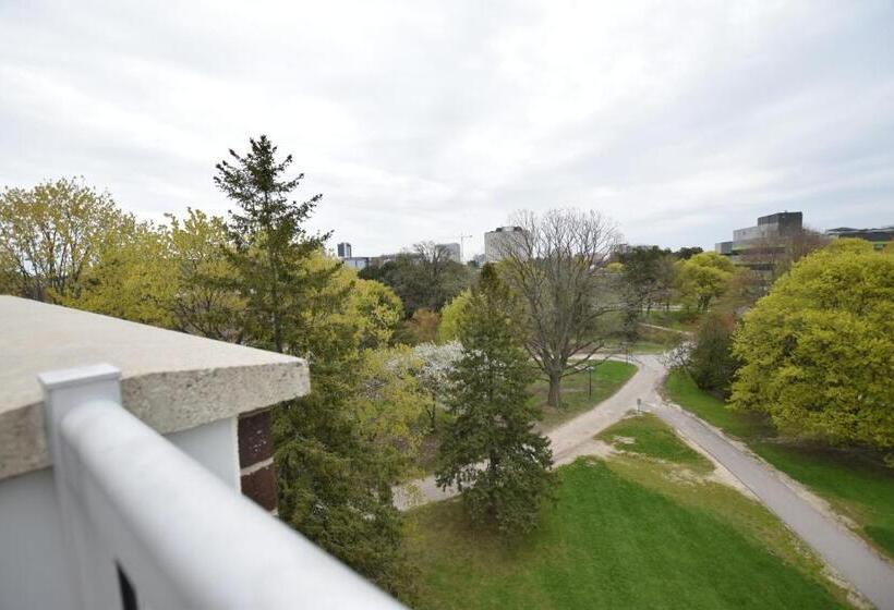 Standard Triple Room, United College