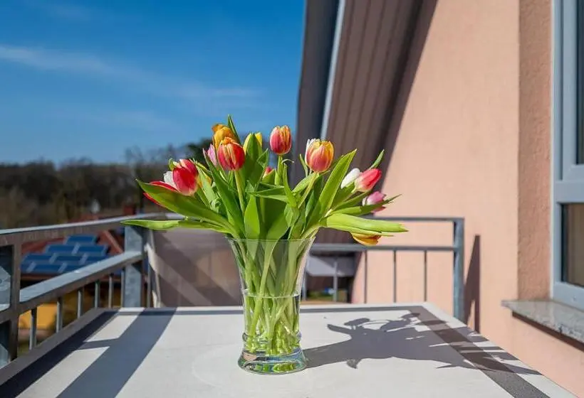 ２ベッドルーム家族用アパートメント, Upstalsboom Koserow Hotel & Apartments