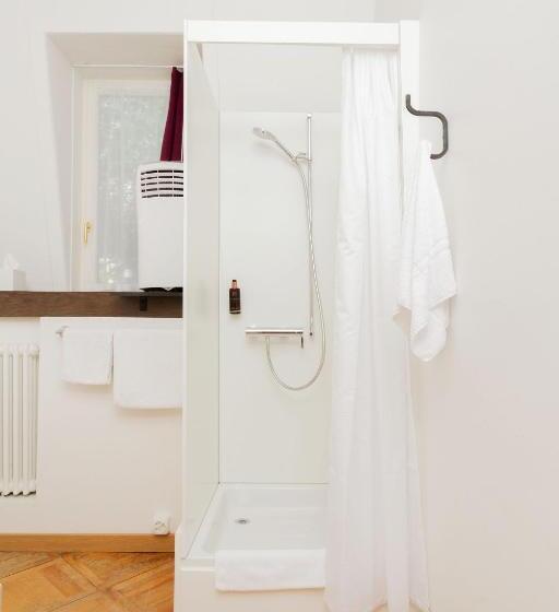 스탠다드 싱글 룸 공동욕실, Beau Séjour Lucerne