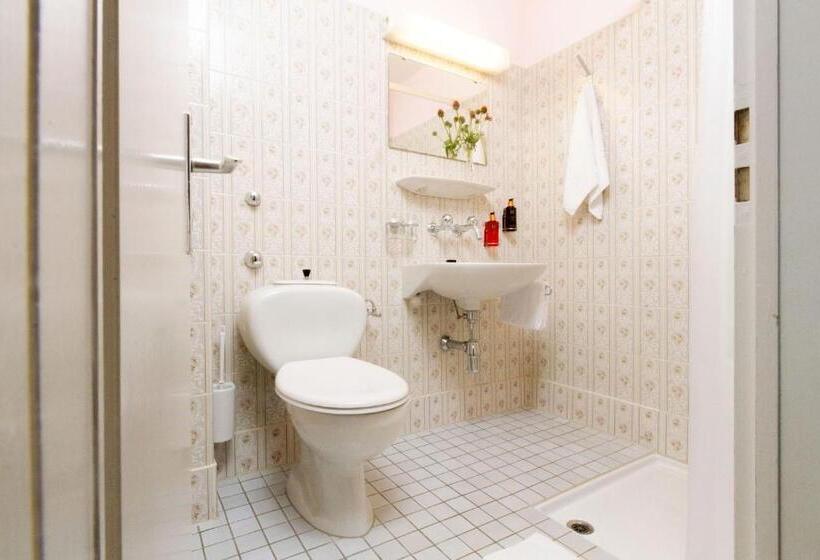 이코노미 룸, Beau Séjour Lucerne