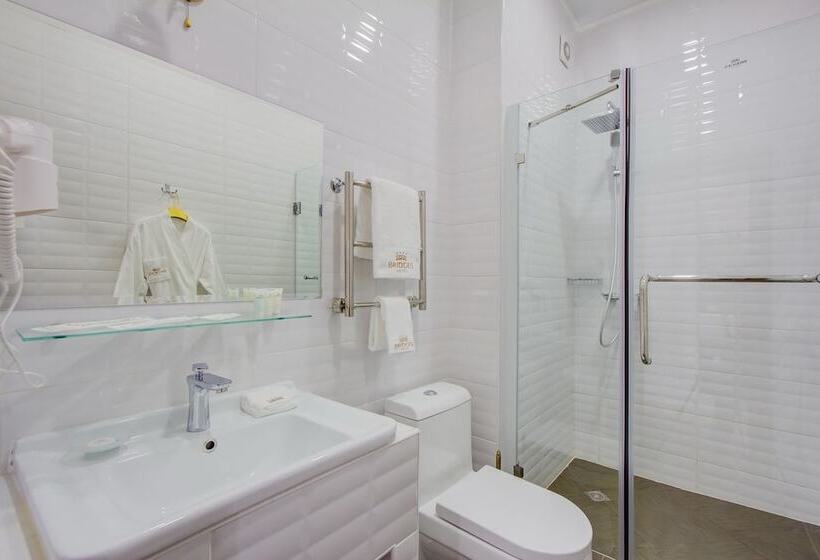 اتاق استاندارد یک نفره, Bridges