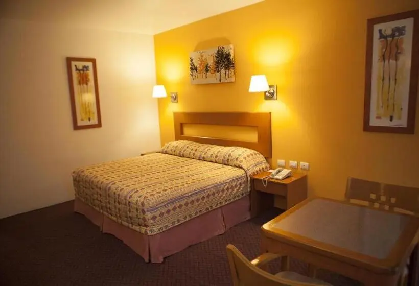 اتاق اجرایی با تخت بزرگ, Paradise Inn