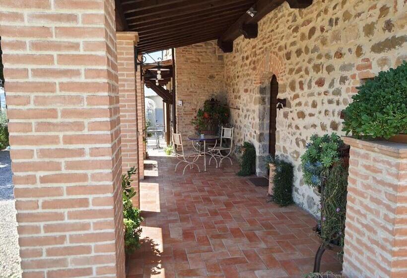 Студия Superior, La Collina