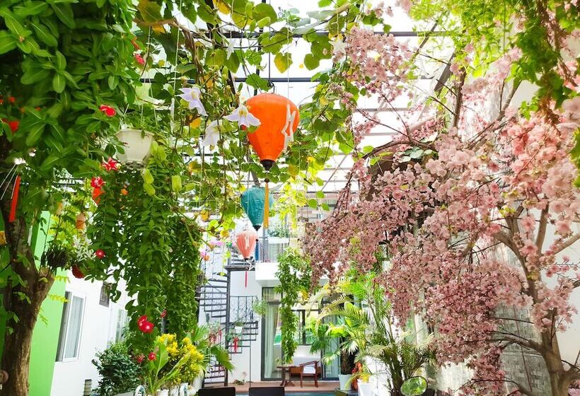 اتاق سوپریور, Anh Family Homestay