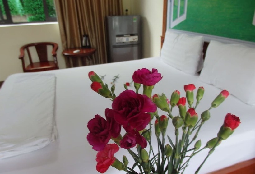 اتاق سوپریور, Anh Family Homestay