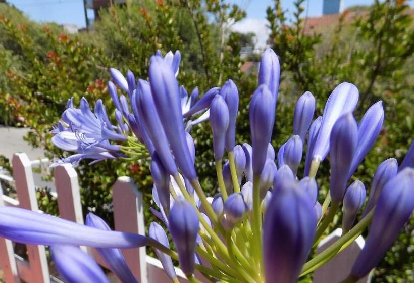 패밀리 룸, Arcoiris