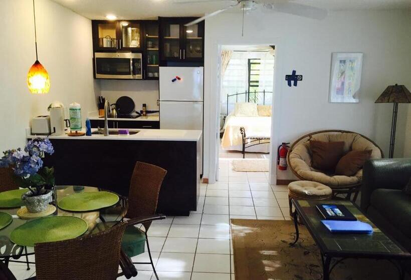 Deluxe Suite King Bed, Hollywood Beach Suites Turks And Caicos