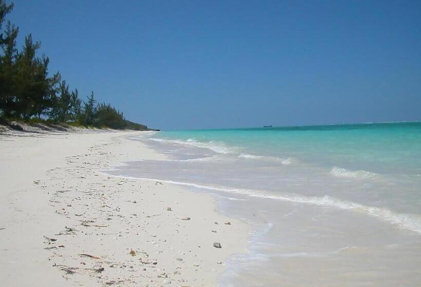 Deluxe Suite King Bed, Hollywood Beach Suites Turks And Caicos
