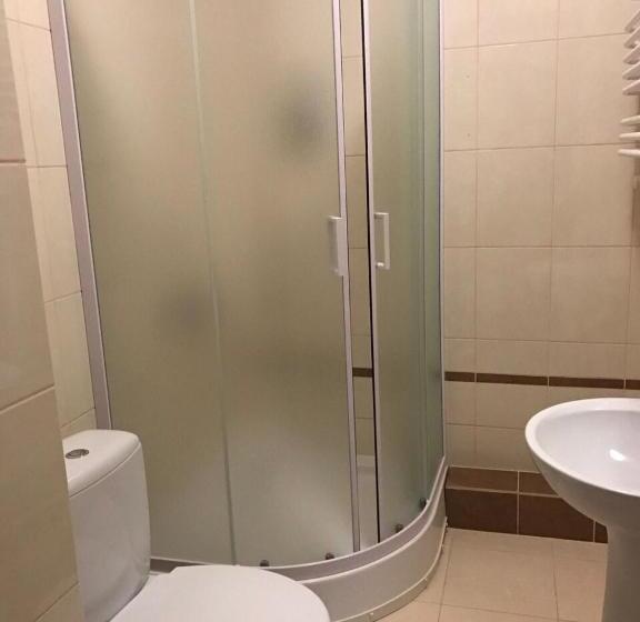 اتاق استاندارد, Karpaty