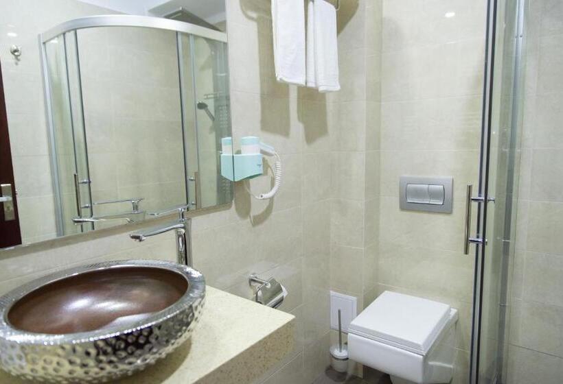 １ベッドルームのデラックスアパートメント, Terra Iasi