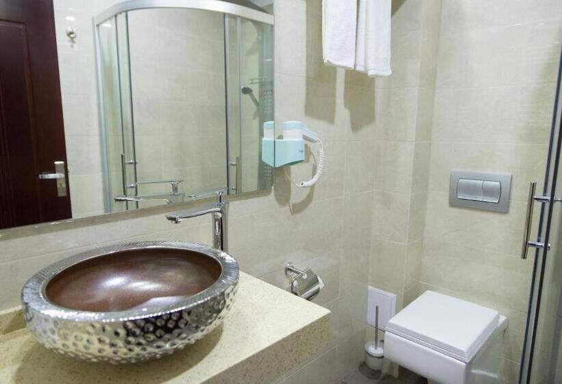 バルコニー付きスタンダードルーム, Terra Iasi