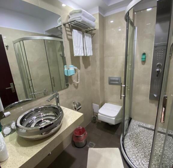 スタンダードルーム, Terra Iasi