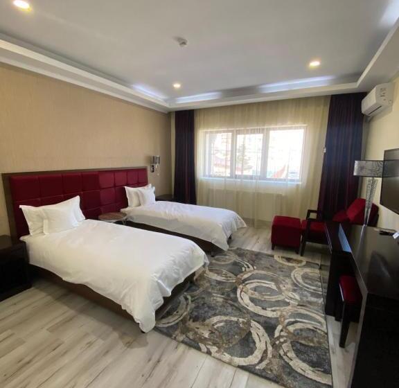 スタンダードルーム, Terra Iasi