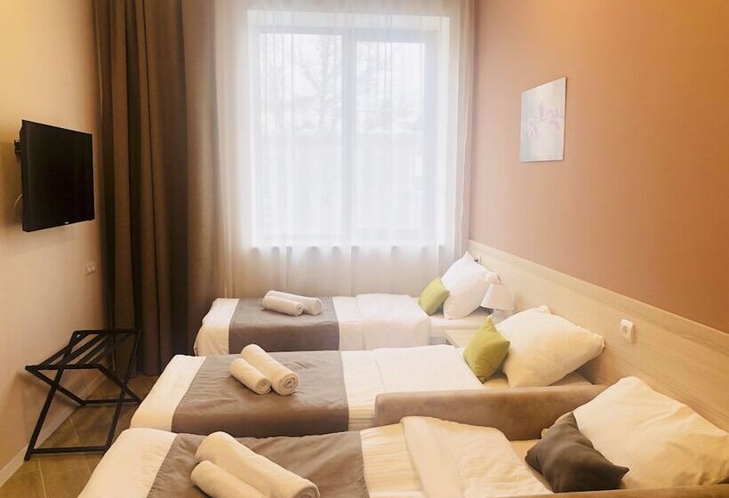 Camera Economy, 4guest