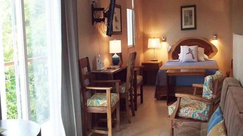 جناح جونيور, La Gaviota Tropical