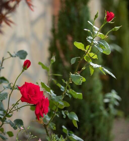 חדר סטנדרט לשלושה עם נוף לבריכה, Royal House