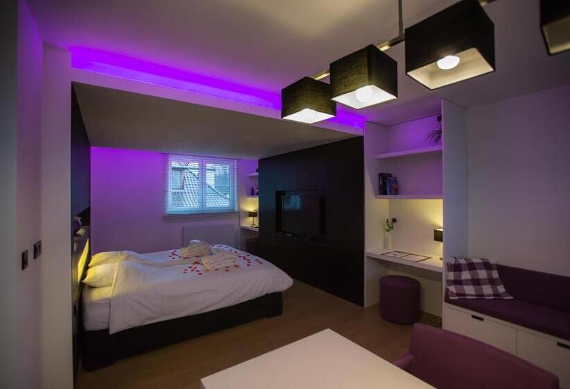 غرفة قياسية مزوَّدة بجاكوزي, Wellness Hasselt B&b