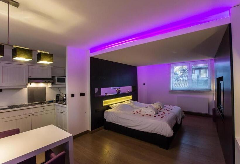 غرفة قياسية مزوَّدة بجاكوزي, Wellness Hasselt B&b