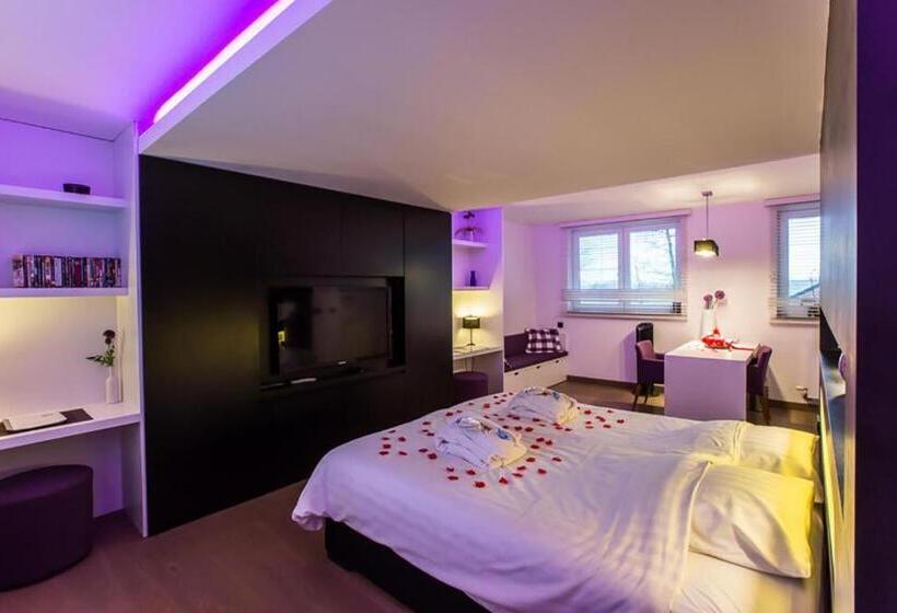اتاق استاندارد با وان آب گرم, Wellness Hasselt B&b