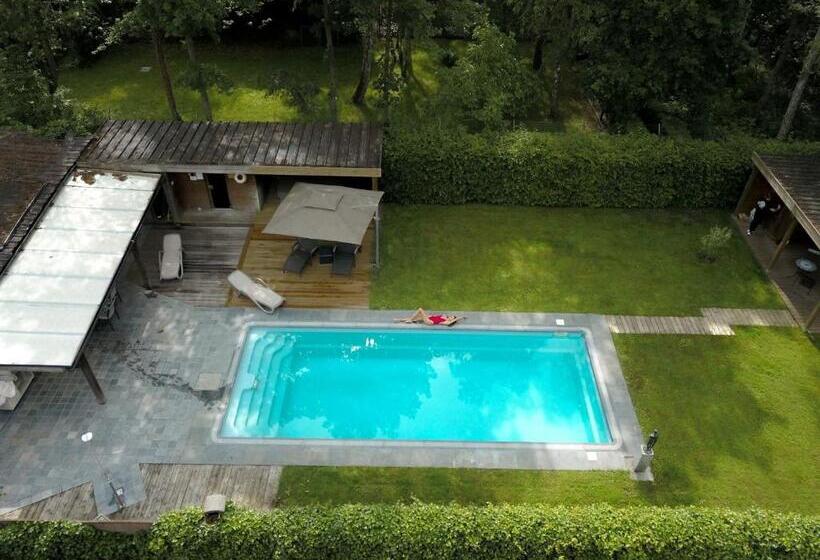 بنجلو قياسى مطلّ علي الحديقة, Wellness Hasselt B&b