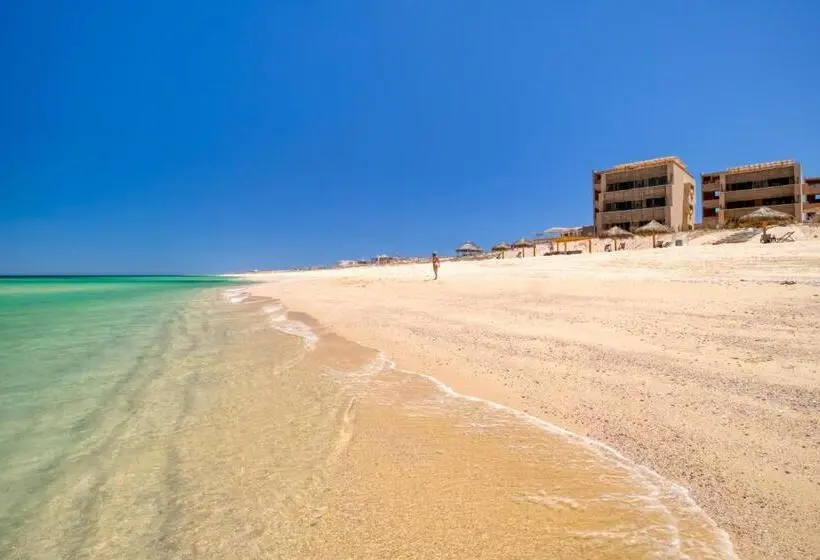１ベッドルームのデラックスアパートメント, Amina Wind Resort By Tasman