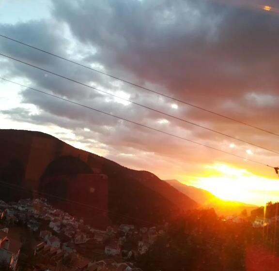 스탠다드 룸, O Vicente