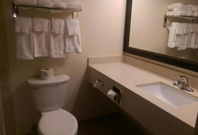 Standard-huone, Americinn By Wyndham Sleepy Eye