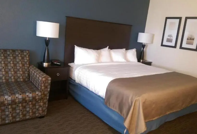 Standard-huone King-vuode, Americinn By Wyndham Sleepy Eye