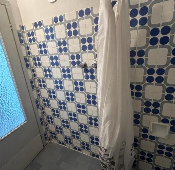 经济四人房间, Zamagna