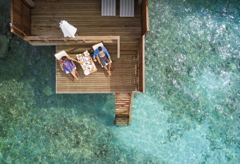 ویلای 1 خوابه, Reethi Faru, Bio Luxury Resort