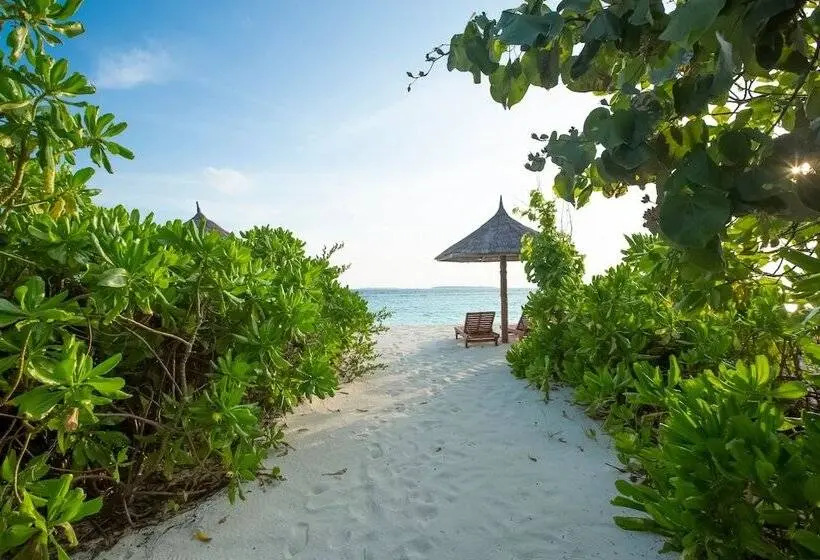 Deluxe-villa 1 Makuuhuone, Reethi Faru, Bio Luxury Resort