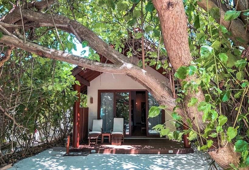 ویلای لوکس 1 خوابه, Reethi Faru, Bio Luxury Resort