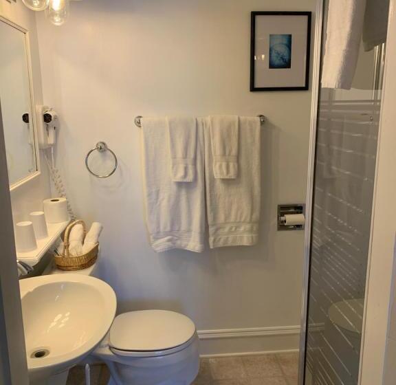 高级大房间, Come From Away B&b