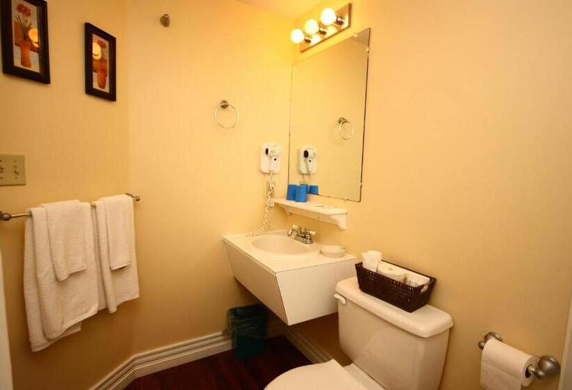 Номер Стандарт 2 Двуспальные Кровати, Come From Away B&b