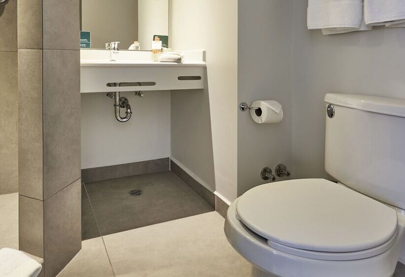 غرفة قياسية, City Express Junior By Marriott Leon Centro De Convenciones