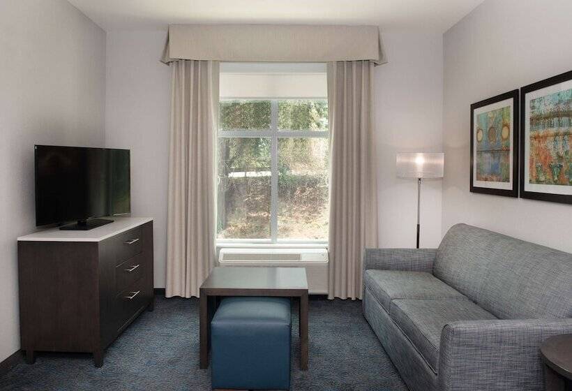 Люкс Адаптированный для Инвалидов, Homewood Suites By Hilton North Charleston
