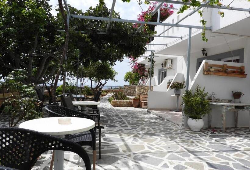 استودیوی استاندارد, Studios Nina