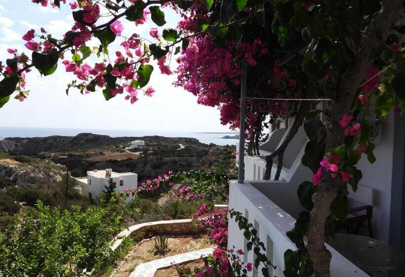 استودیوی استاندارد, Studios Nina