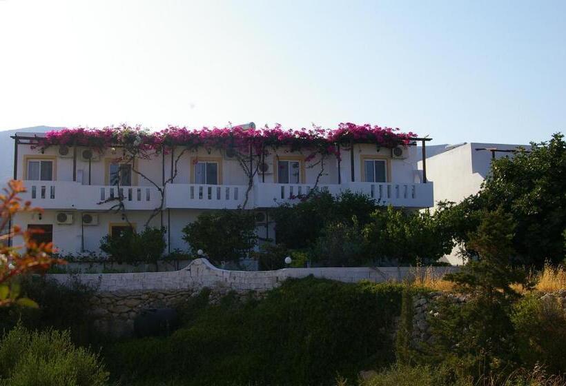 استودیوی استاندارد, Studios Nina