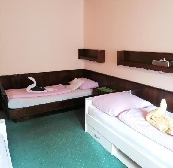 Трежместный Номер Economy, Vanda