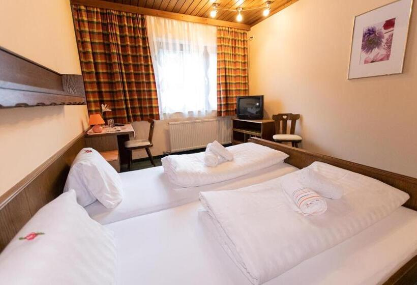 Трежместный Номер Economy, Vanda