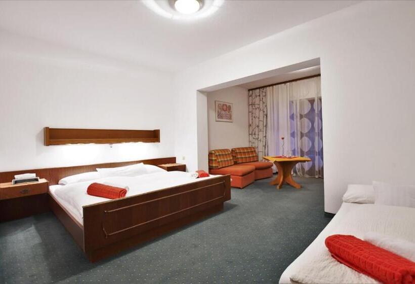 Трежместный Номер Economy, Vanda