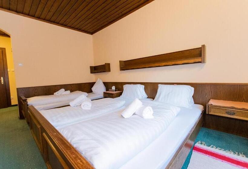 Трежместный Номер Economy, Vanda